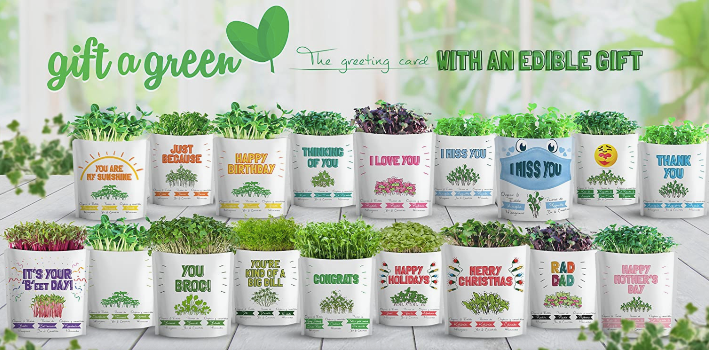 You Are My Sunshine Greeting Card Pouch