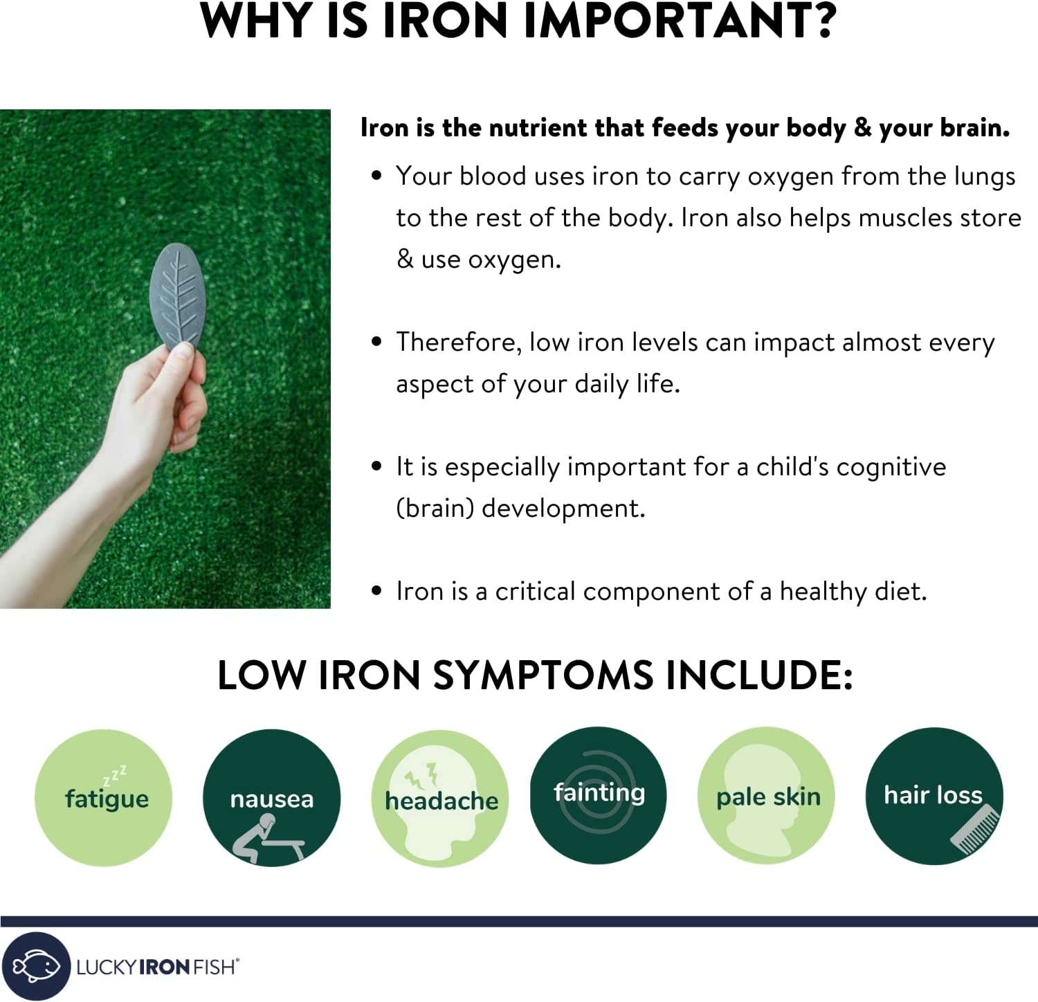 Lucky Iron Fish and Leaf