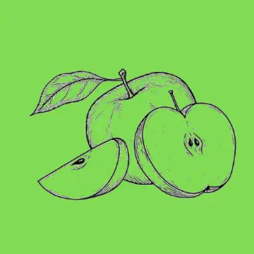 EuroScrubby Printed Dishcloths