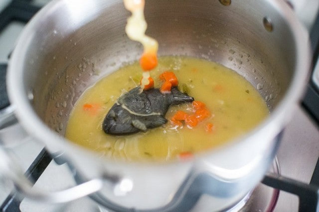 Lucky Iron Fish and Leaf