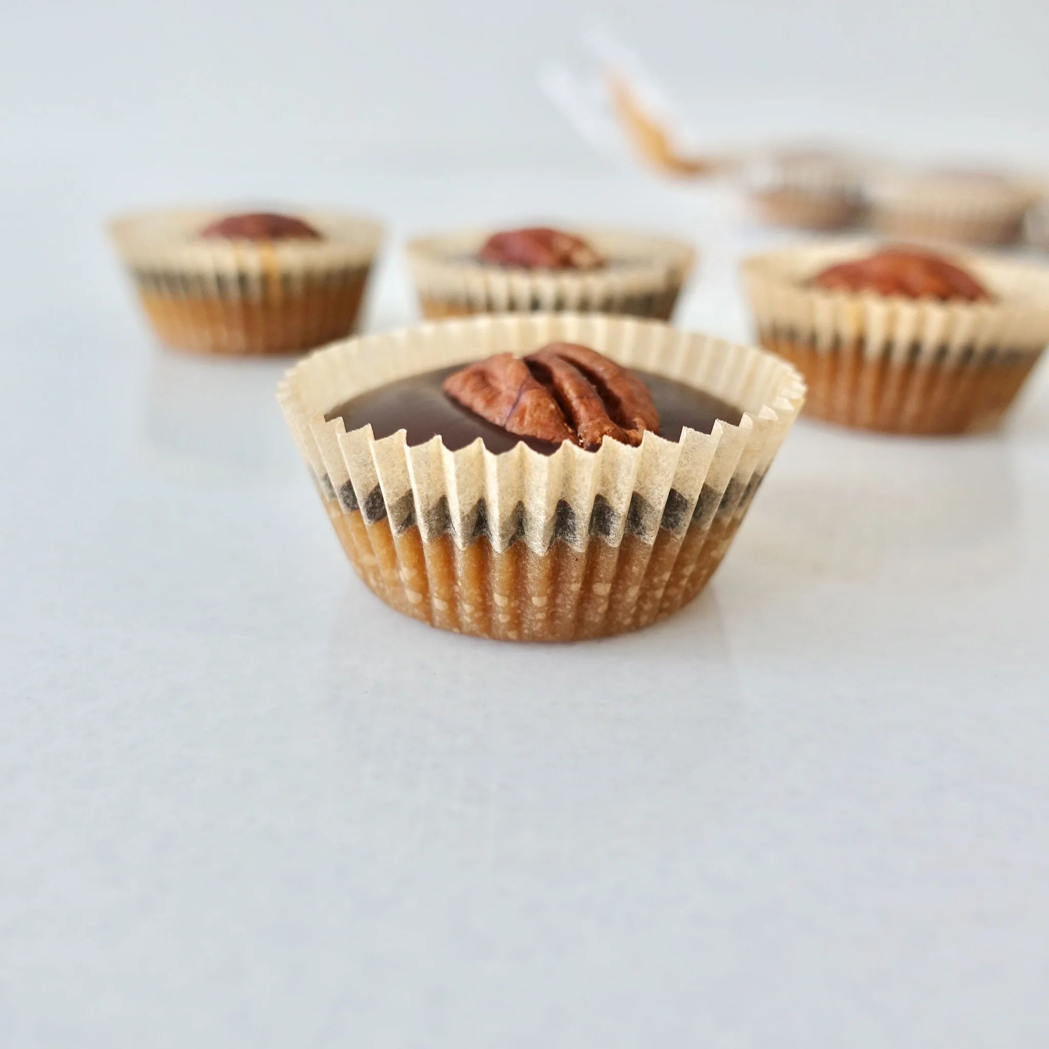 Succulent Chocolate - Nutty Caramel Cups