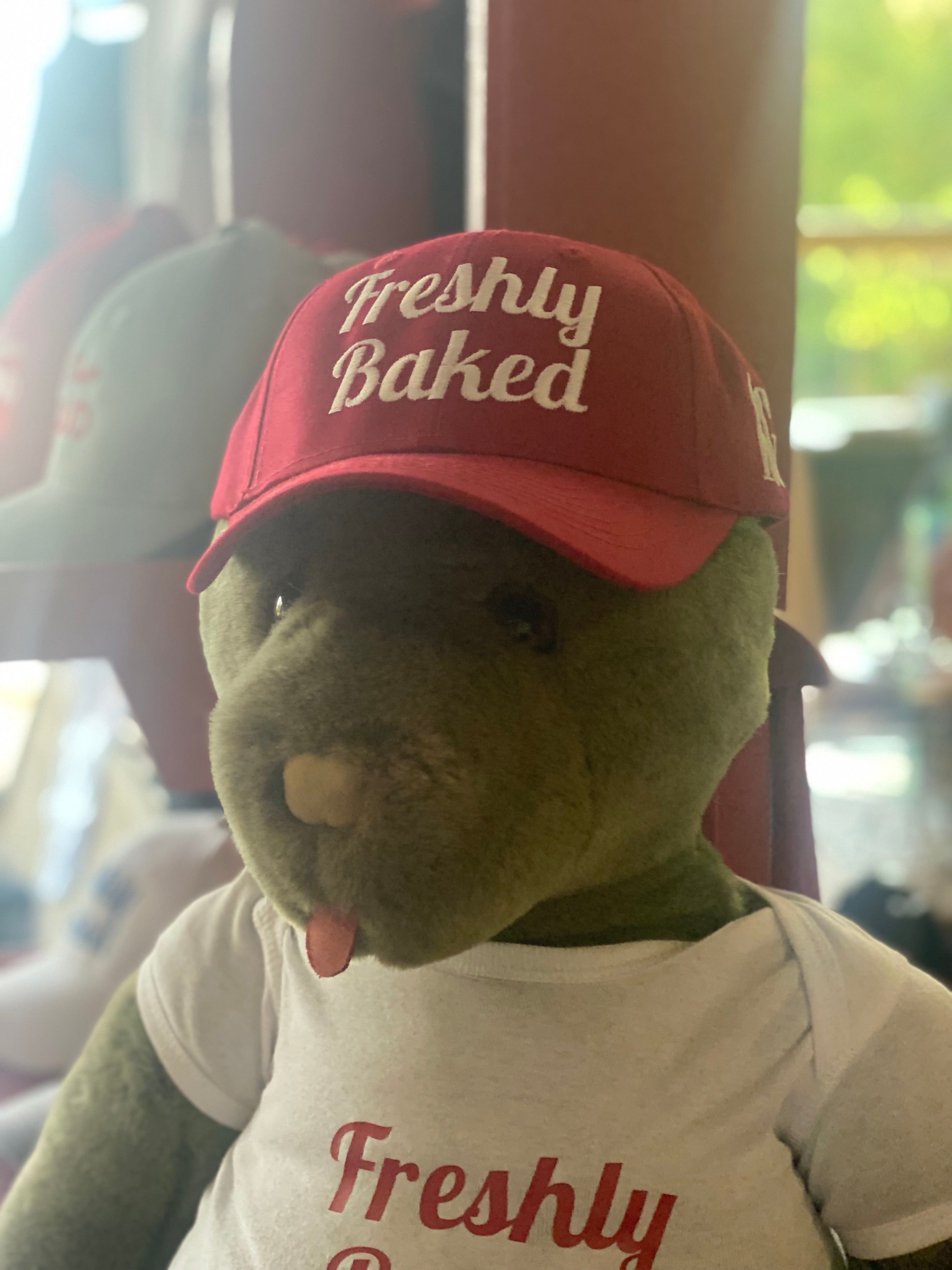 Rosemont General Store Baseball Hats