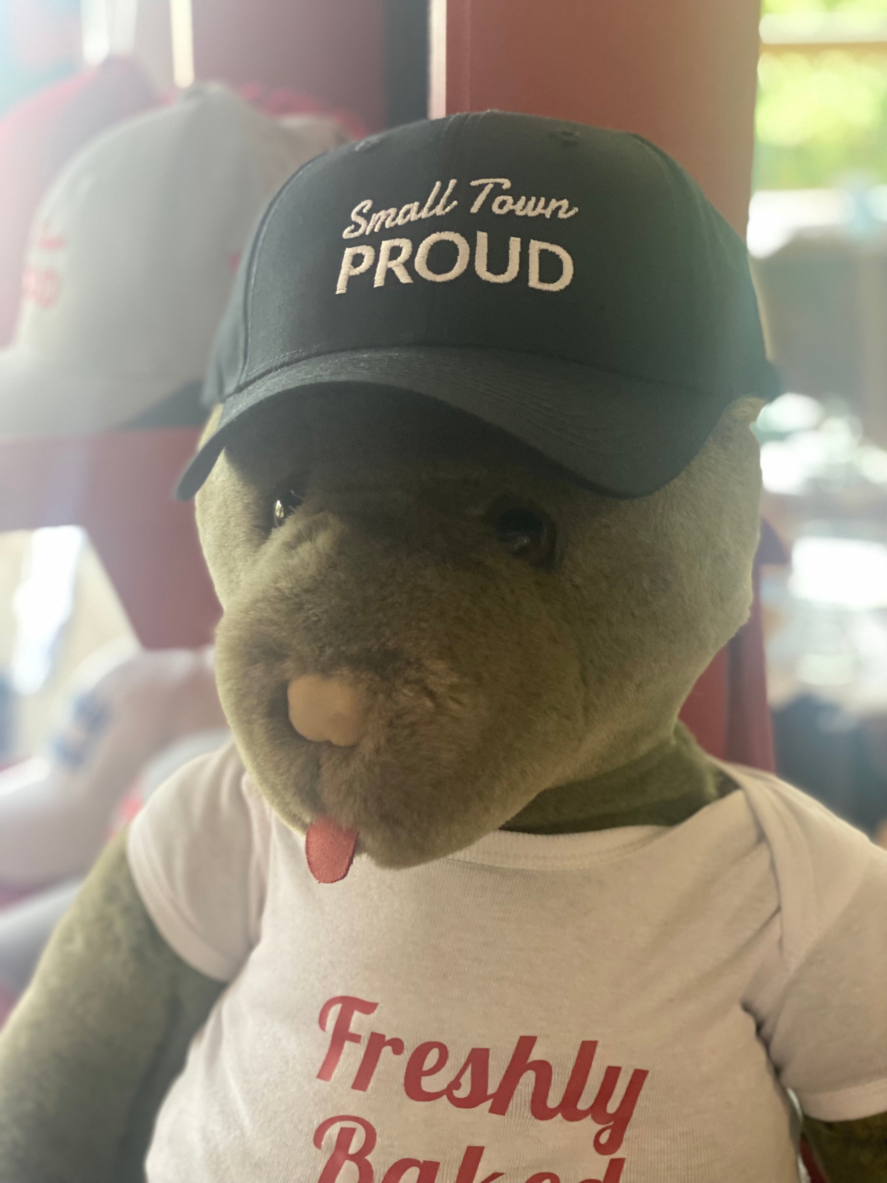 Rosemont General Store Baseball Hats