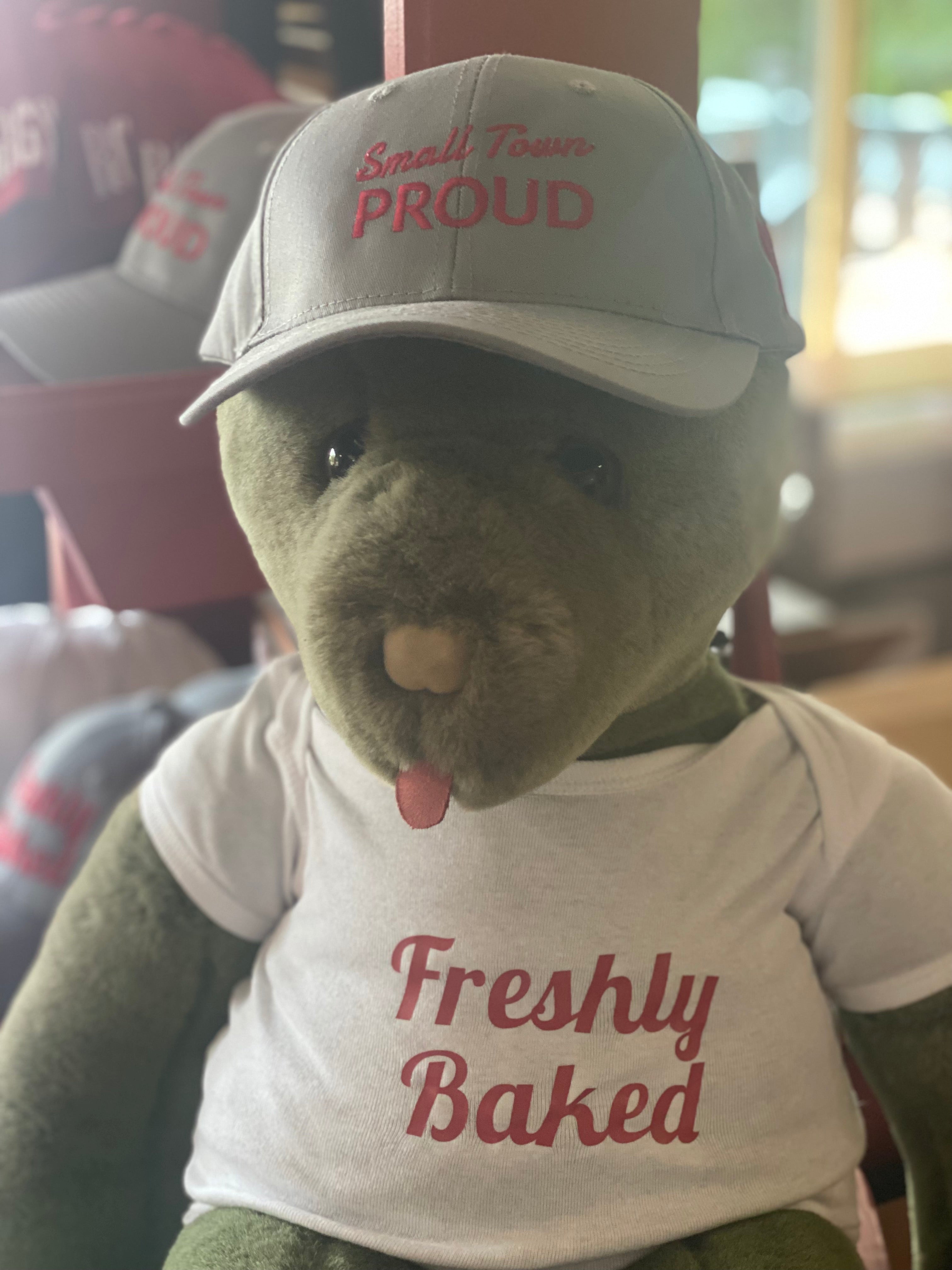 Rosemont General Store Baseball Hats