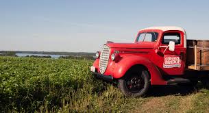 Covered Bridge Potato Chips - Creamy Dill Pickle